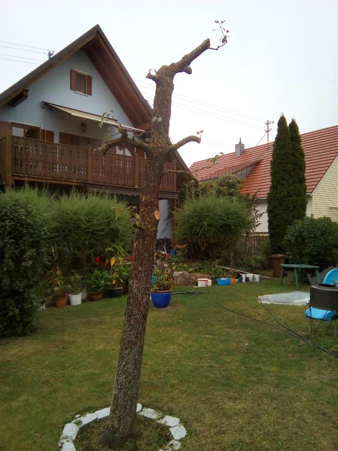 Villa Blue Nördlingen Zewnętrze zdjęcie